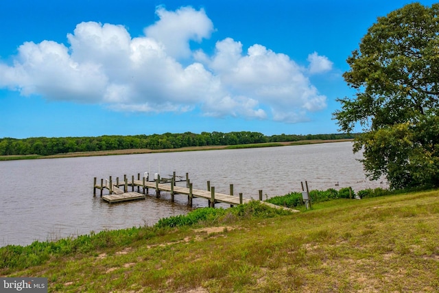 300 Hickory Ln, Chestertown, MD 21620 - dock area featuring a water view