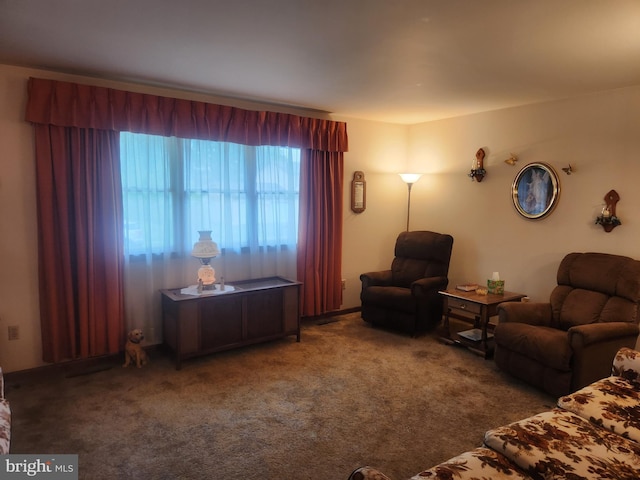 living room with carpet floors