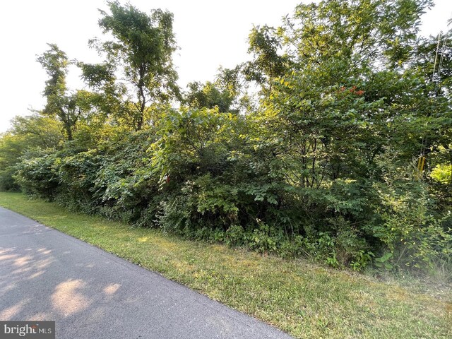 Tupelo Loop, Springfield, WV 26763