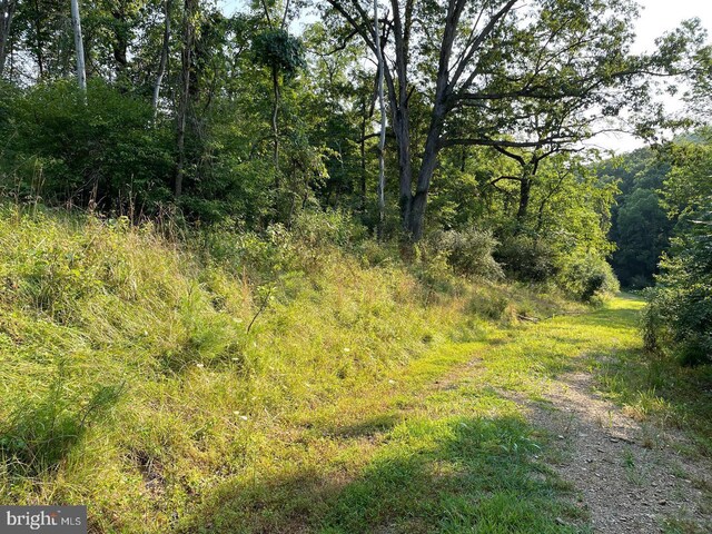 Tupelo Loop, Springfield, WV 26763