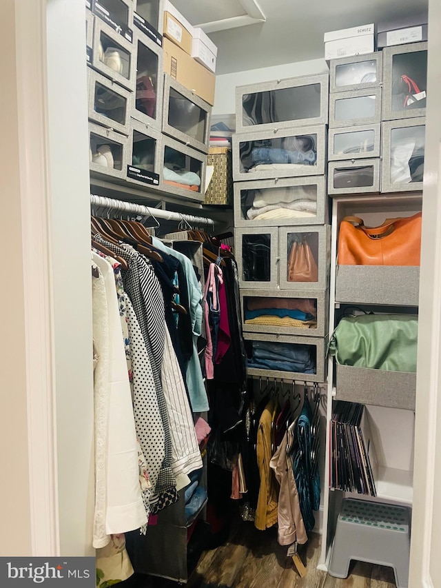 spacious closet featuring wood finished floors