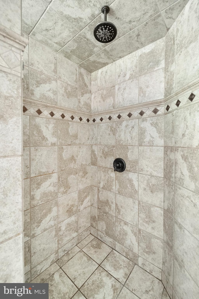 bathroom view of a tile shower
