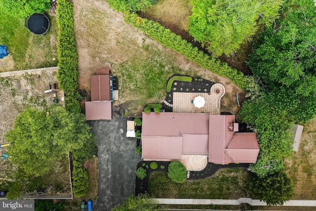 bird's eye view