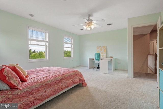 12451 High Point Rd, Felton, PA 17322 - bedroom with carpet flooring and a ceiling fan