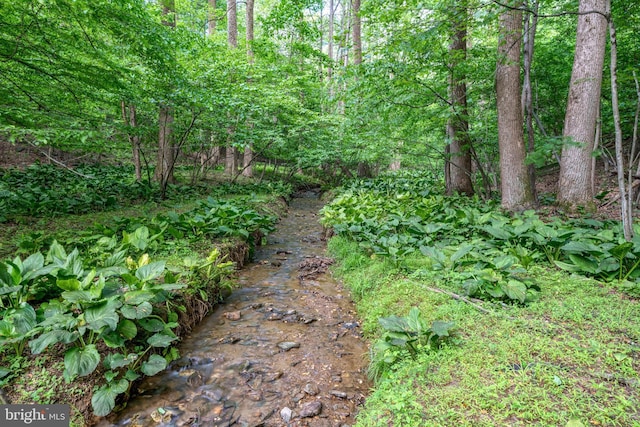 12451 High Point Rd, Felton, PA 17322 - view of tree filled area