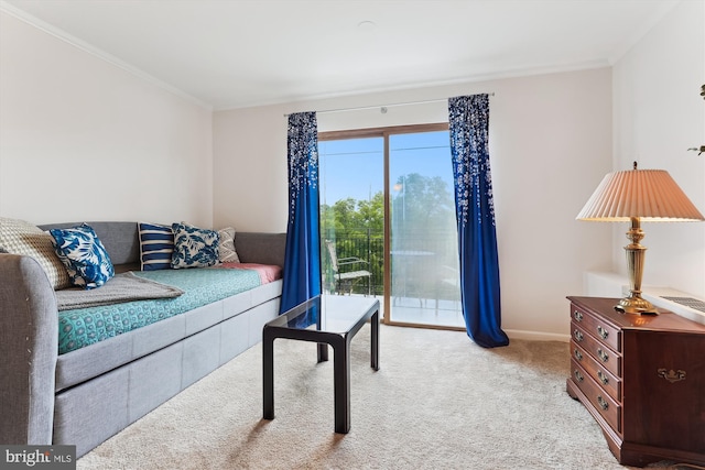 614 Sligo Ave Unit 504, Silver Spring, MD 20910 - living room with carpet, crown molding, and baseboards