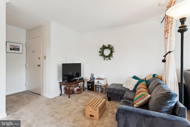 614 Sligo Ave Unit 504, Silver Spring, MD 20910 - living area featuring carpet flooring, ornamental molding, and baseboards