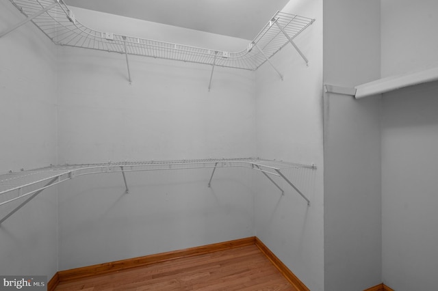 walk in closet with light wood-type flooring