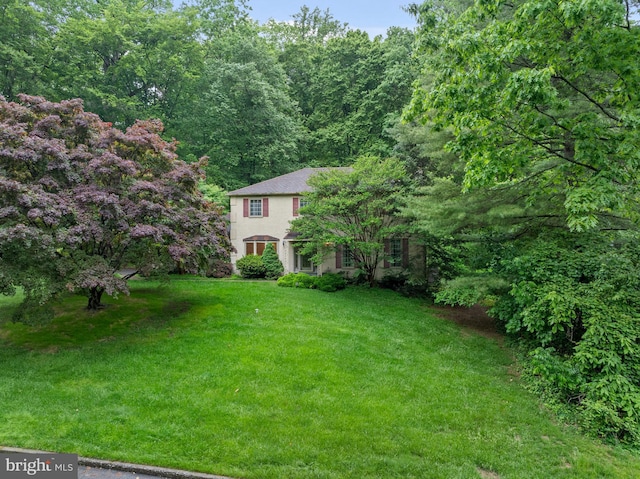 view of green lawn