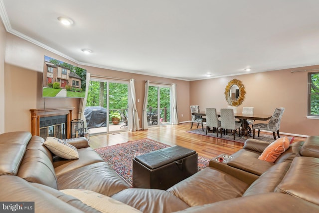 2307 Bright Leaf Way, Baltimore, MD 21209 - living area featuring ornamental molding, wood finished floors, a glass covered fireplace, recessed lighting, and baseboards