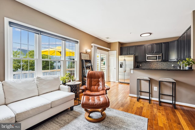 623 Main St Unit 623-B, Gaithersburg, MD 20878 - living area featuring light wood finished floors