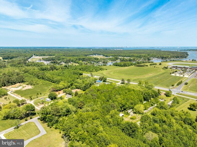 0 Griffin Rd, Berlin, MD 21811