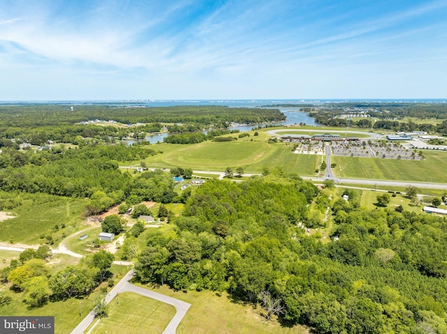 0 Griffin Rd, Berlin, MD 21811
