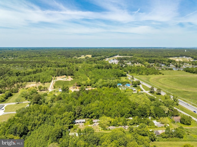 0 Griffin Rd, Berlin, MD 21811