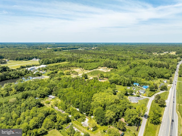 0 Griffin Rd, Berlin, MD 21811