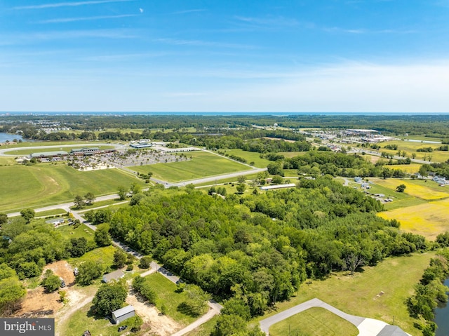0 Griffin Rd, Berlin, MD 21811