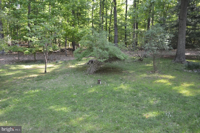 view of green lawn