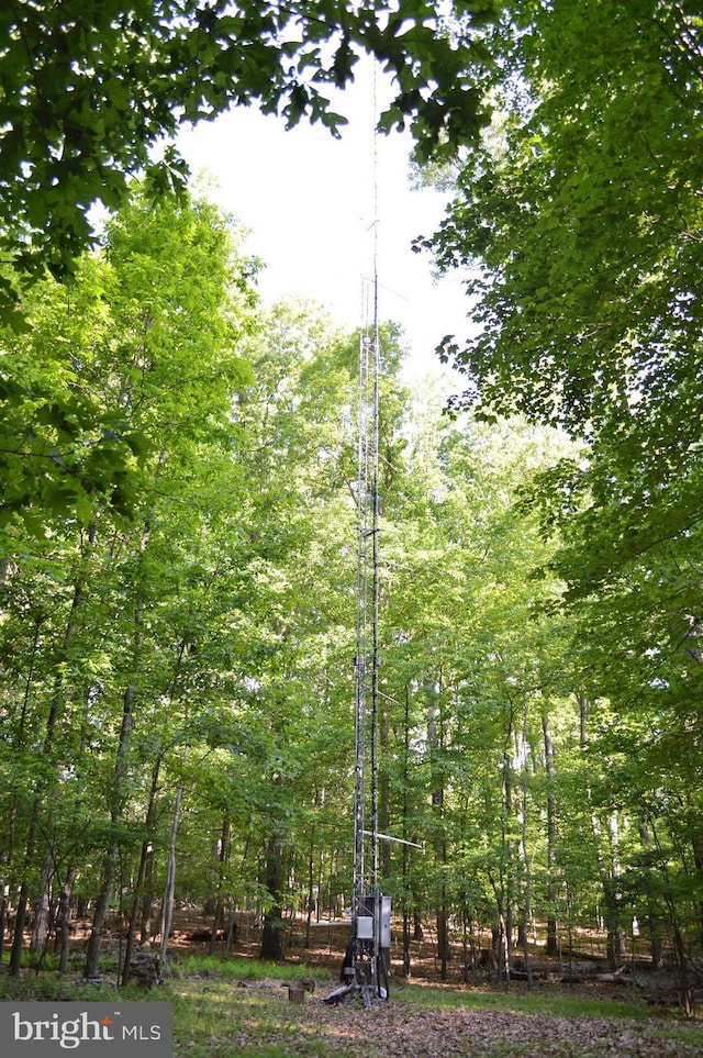 view of nature