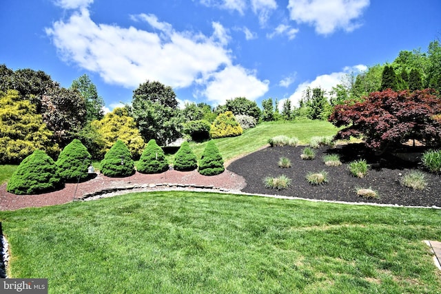 view of grassy yard