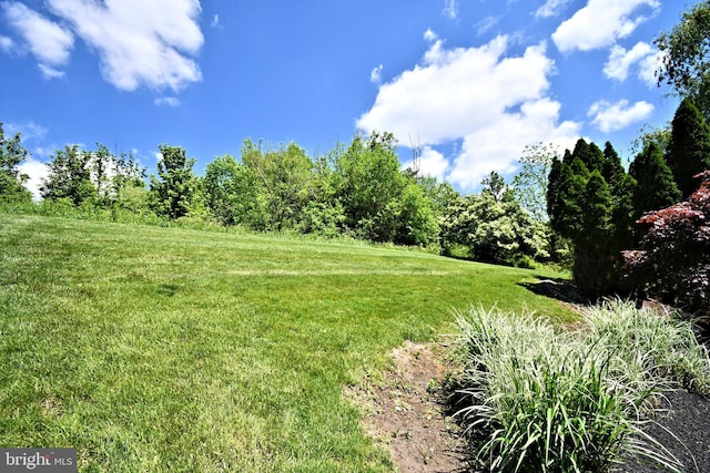 view of grassy yard