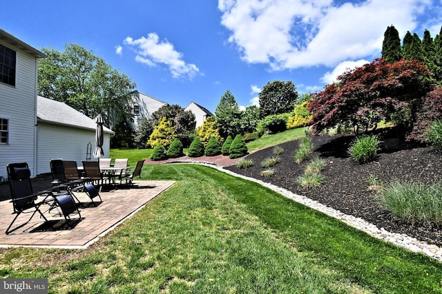 view of green lawn featuring a patio area