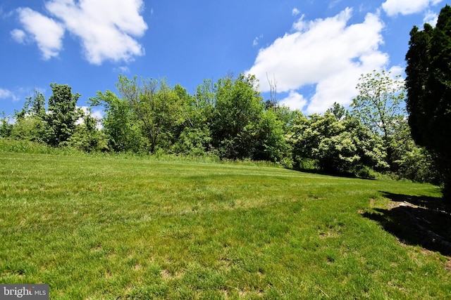 view of green lawn