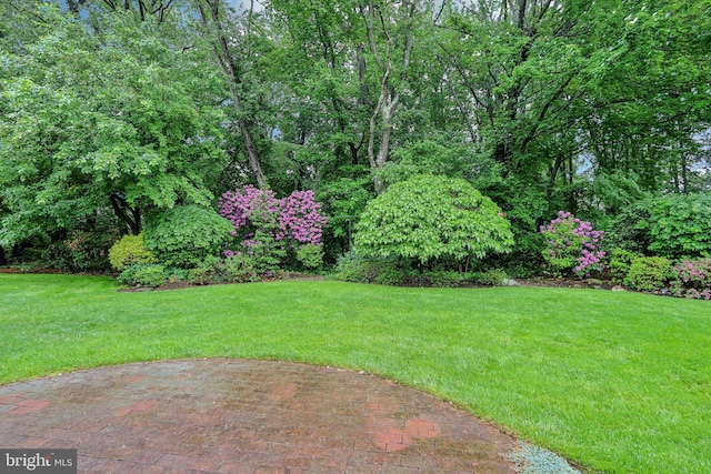 38 Falmouth Dr, Mount Laurel, NJ 08054 - view of green lawn with a patio area