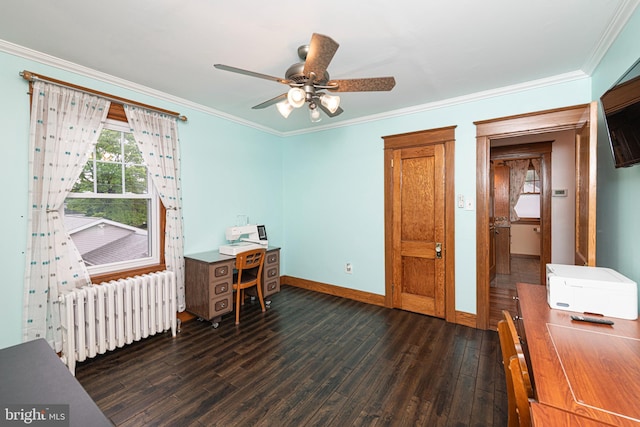116 N Brobst St, Shillington, PA 19607 - office space featuring radiator, dark wood-type flooring, baseboards, ornamental molding, and a ceiling fan