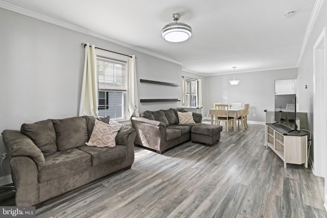 living area featuring wood finished floors, baseboards, and crown molding