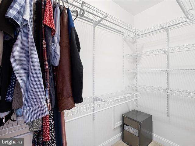 1503 W Tenth St, Wilmington, DE 19806 - view of walk in closet