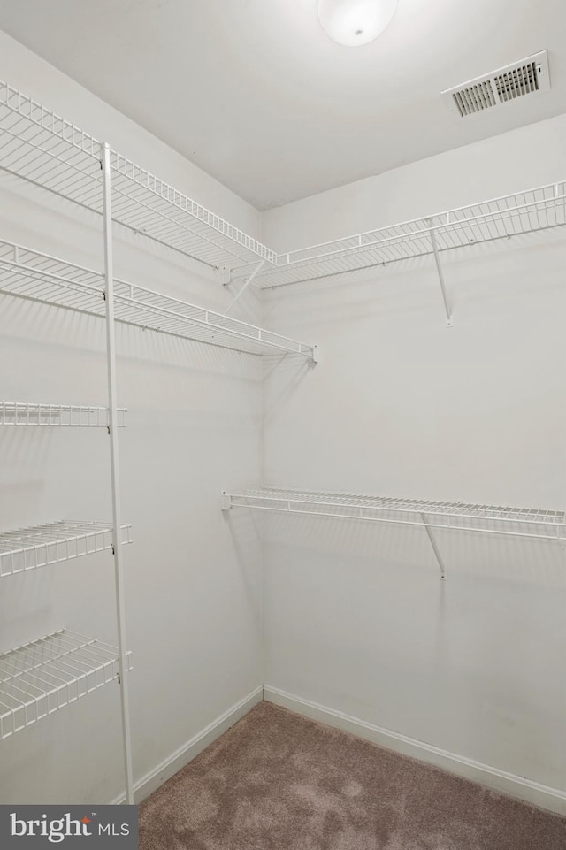 2021 Rudy Serra Dr Unit 1D, Eldersburg, MD 21784 - walk in closet with carpet floors