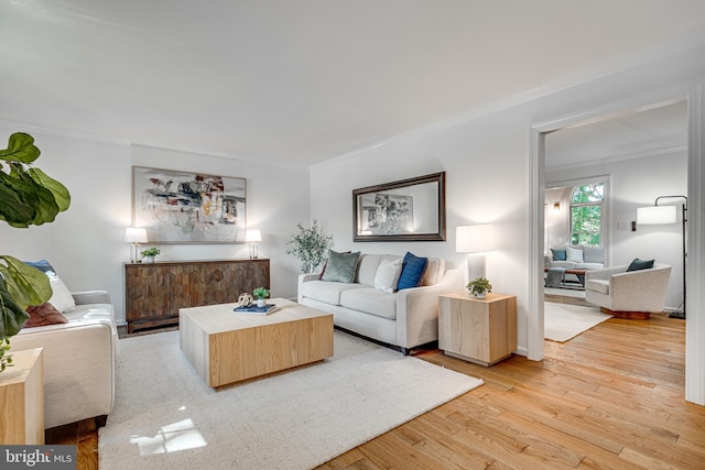 living area with light wood finished floors and crown molding
