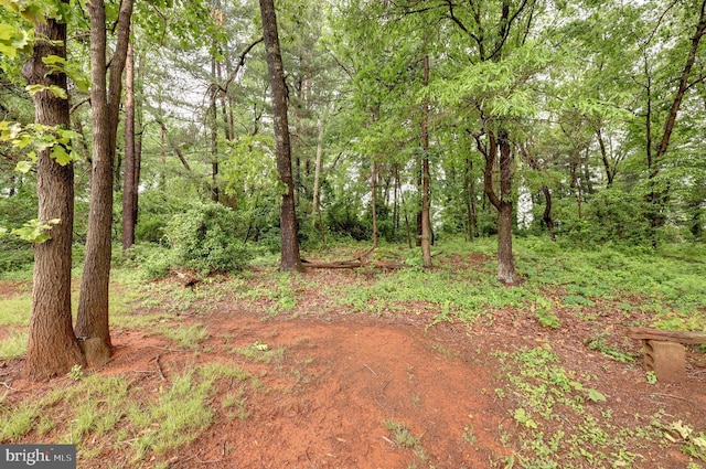 10041 Foster Dr, Manassas, VA 20110 - view of yard featuring a forest view