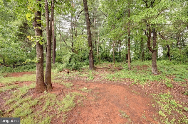 10041 Foster Dr, Manassas, VA 20110 - view of yard featuring a wooded view