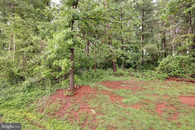 10041 Foster Dr, Manassas, VA 20110 - view of tree filled area