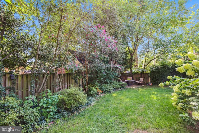 3122 1st St N, Arlington, VA 22201 - view of yard