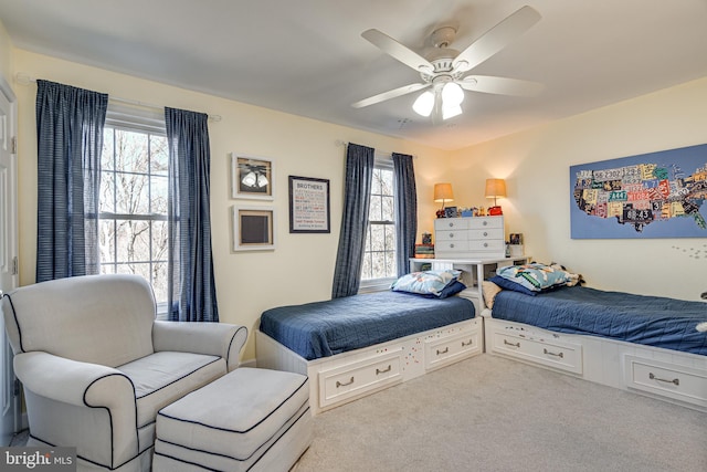 15656 Cliff Swallow Way, Rockville, MD 20853 - bedroom with multiple windows, a ceiling fan, and carpet flooring