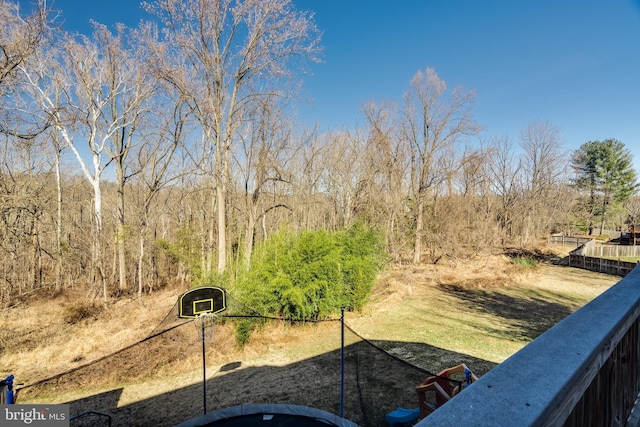 15656 Cliff Swallow Way, Rockville, MD 20853 - view of yard
