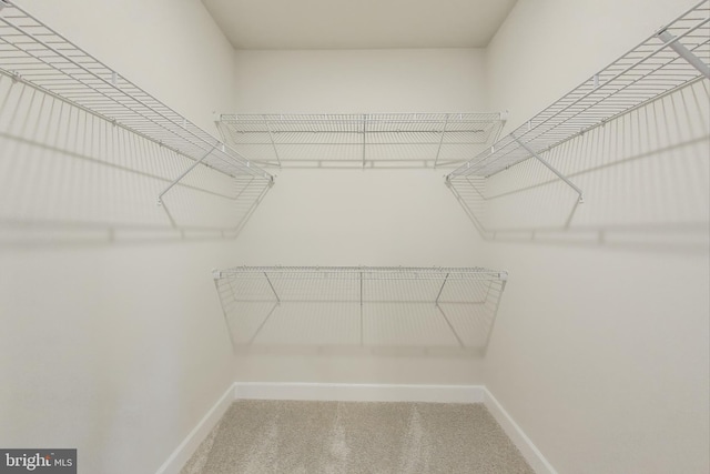 6501 Clubhouse Dr, Laurel, MD 20708 - walk in closet featuring carpet