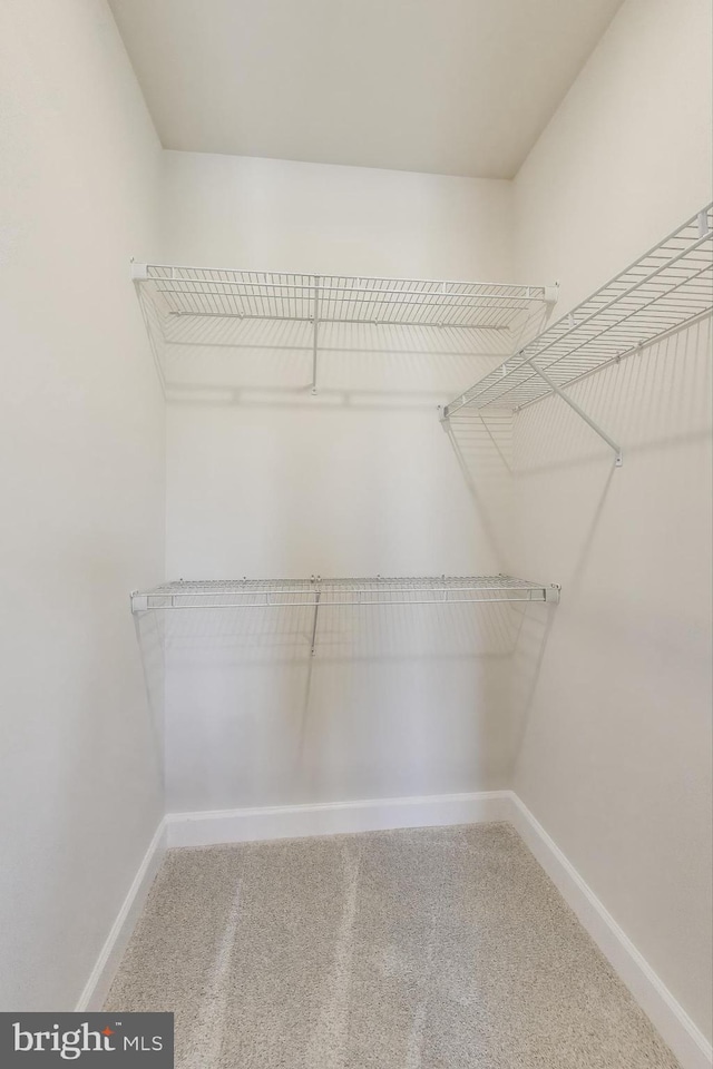 6501 Clubhouse Dr, Laurel, MD 20708 - walk in closet with carpet flooring