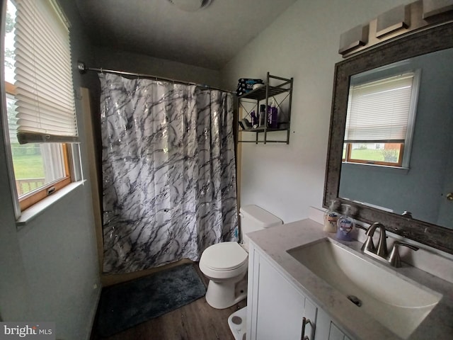 189 Columbia Dr, Kearneysville, WV 25430 - full bathroom with wood finished floors, toilet, vanity, and a shower with shower curtain