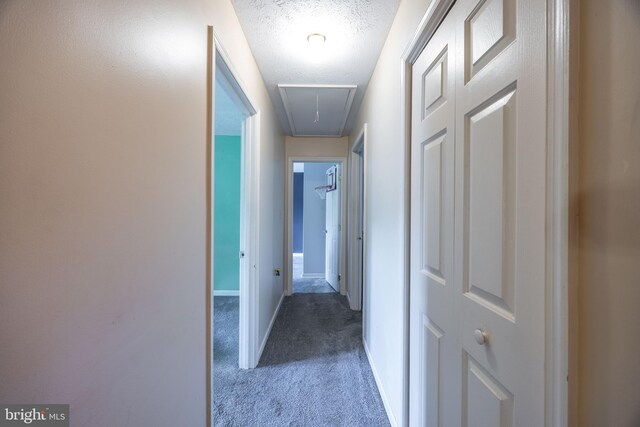 189 Columbia Dr, Kearneysville, WV 25430 - corridor with attic access, carpet flooring, a textured ceiling, and baseboards
