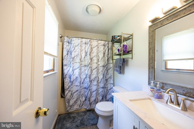 189 Columbia Dr, Kearneysville, WV 25430 - full bath featuring vanity, toilet, healthy amount of natural light, and a shower with shower curtain