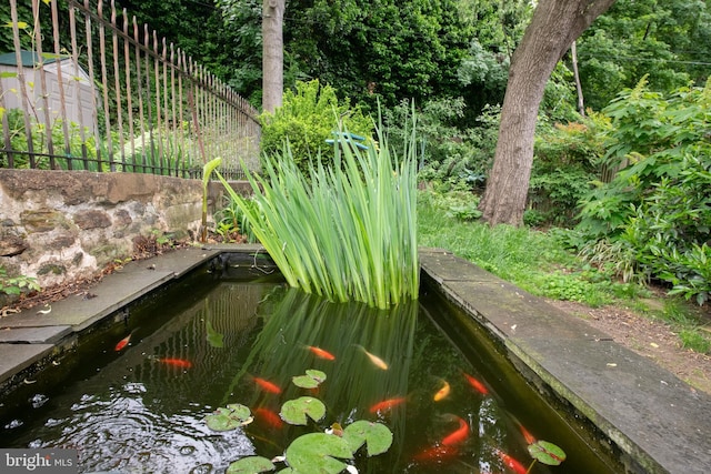 3632 Midvale Ave, Philadelphia, PA 19129 - exterior view of a garden pond and fence
