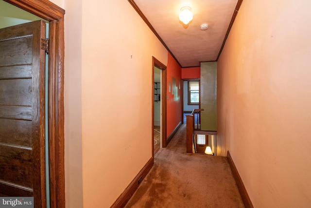 3632 Midvale Ave, Philadelphia, PA 19129 - corridor featuring an upstairs landing, carpet, ornamental molding, and baseboards
