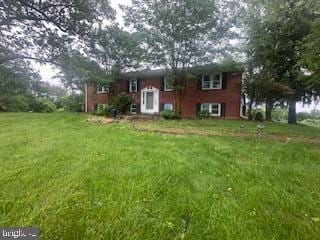 rear view of property with a yard