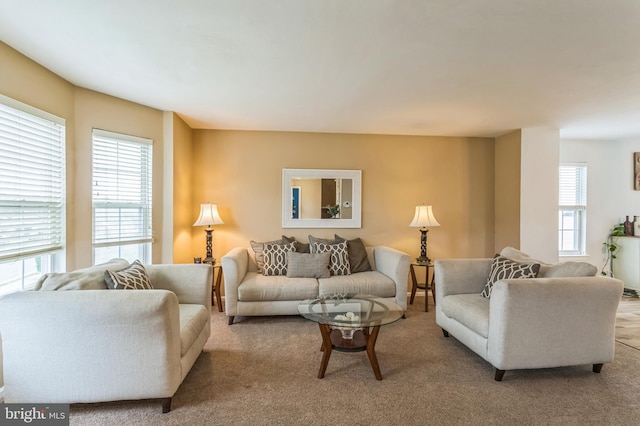view of carpeted living area