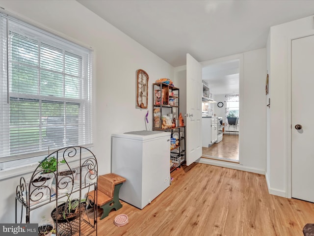 hallway with light wood-style floors