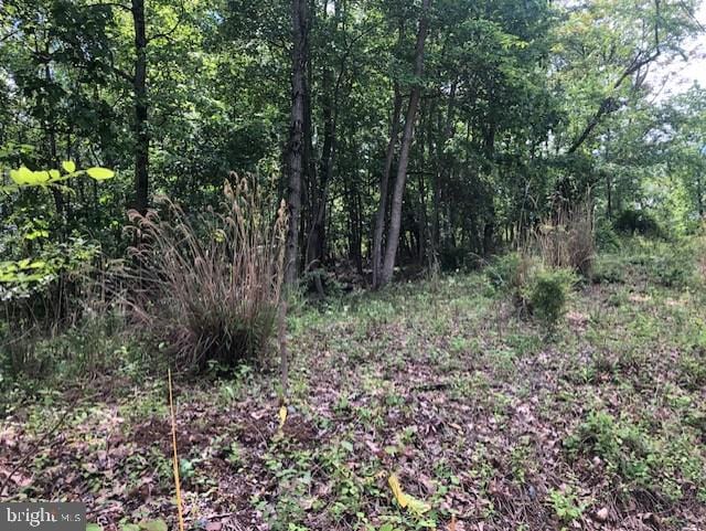 LOT1 Jones Springs W Rd, Hedgesville, WV 25427