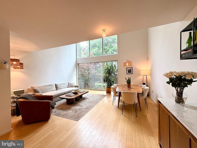 955 N American St, Philadelphia, PA 19123 - living area with light wood-style flooring